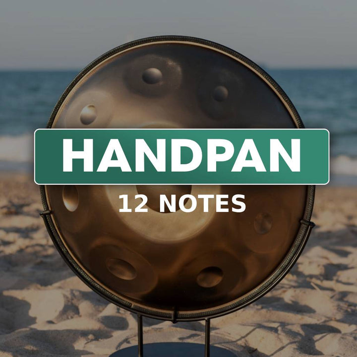 handpan 12 notes, handpan expert, hang drum, handpan store, instrument