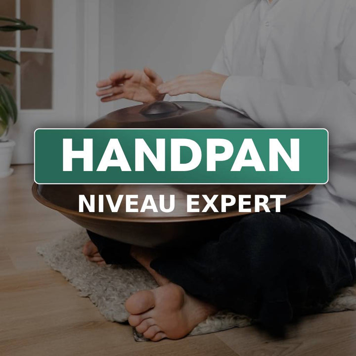 handpan expert, hang drum, handpan 17 notes, ZenaPan, instrument handpan